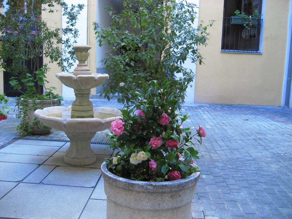 Hostal Huespedes Toledo مدريد المظهر الخارجي الصورة