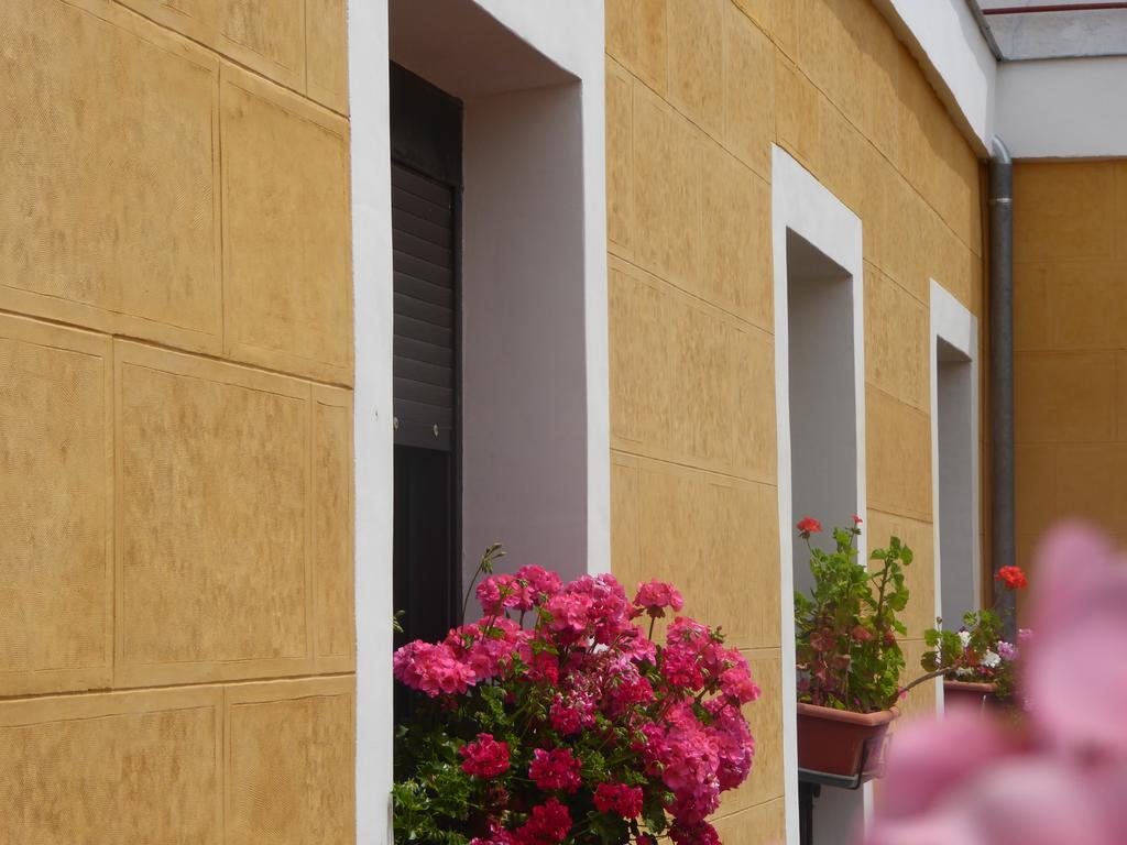 Hostal Huespedes Toledo مدريد المظهر الخارجي الصورة